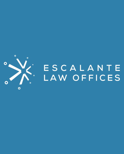 Intellectual Property Law